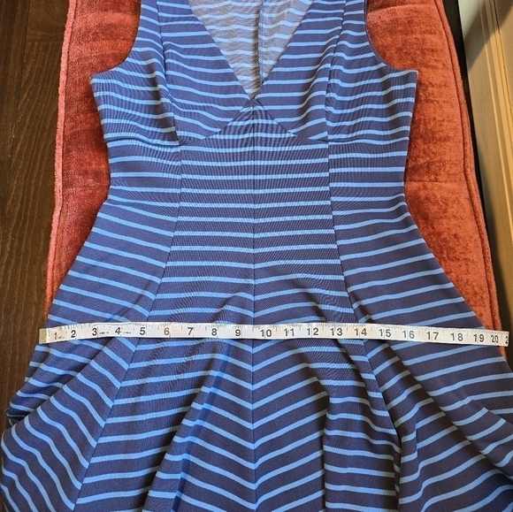 Peter Som Blue Striped Fit and Flare Sleeveless Dress Sz. 6 - Picture 9 of 11